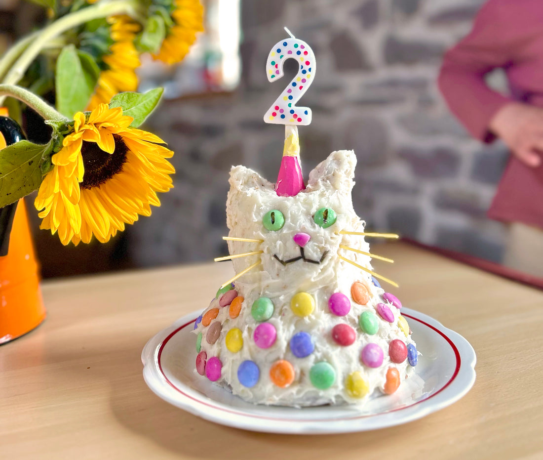 Cat Cake